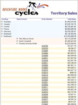 MSSQL Server Reporting Services: Black Belt Components:  Ad Hoc Sorting with Parameters