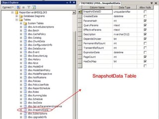 Snapshot Reports I:  Report Manager Perspective