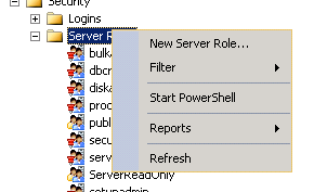 User Defined Server Role on SQL Server 2012