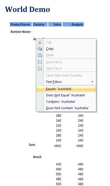 Exploring data by filtering an Access 2007 report