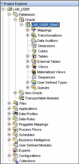 Oracle Warehouse Builder Automated ETL Processing
